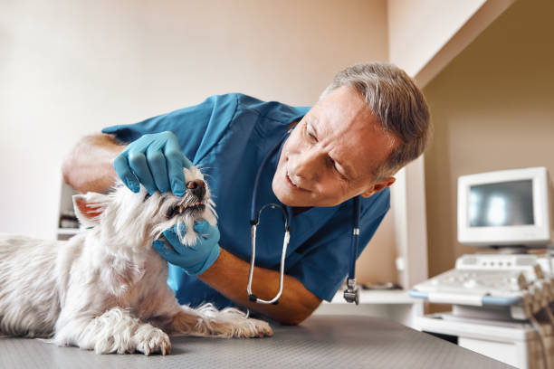 Best Emergency Dental Extractions in Remerton, GA