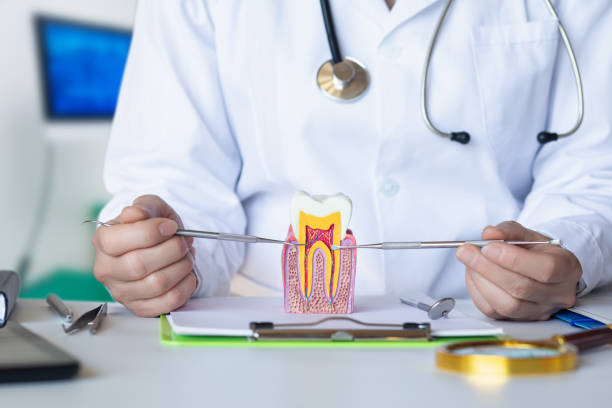 Best Urgent Dental Care for Toothache in Remerton, GA